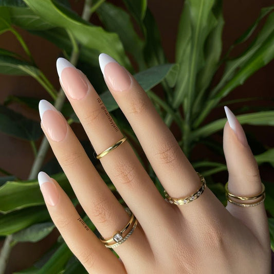 elegant french - Jellí